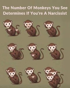 The Number Of Monkeys You See Determines If You’re A Narcissist